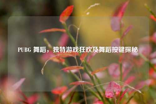 PUBG 舞蹈,独特游戏狂欢及舞蹈按键探秘