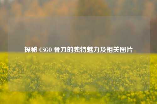 探秘 CSGO 骨刀的独特魅力及相关图片