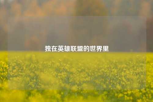 独在英雄联盟的世界里
