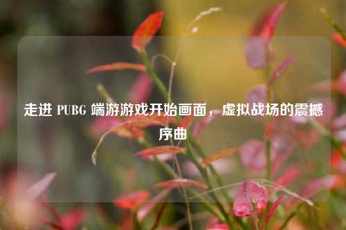 走进 PUBG 端游游戏开始画面,虚拟战场的震撼序曲