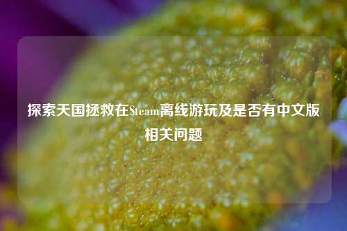 探索天国拯救在Steam离线游玩及是否有中文版相关问题