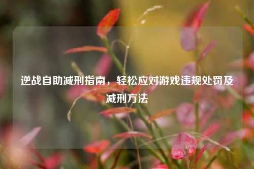 逆战自助减刑指南,轻松应对游戏违规处罚及减刑方法