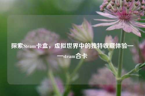 探索Steam卡盒，虚拟世界中的独特收藏体验——steam合卡