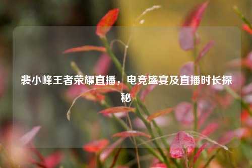 裴小峰王者荣耀直播,电竞盛宴及直播时长探秘