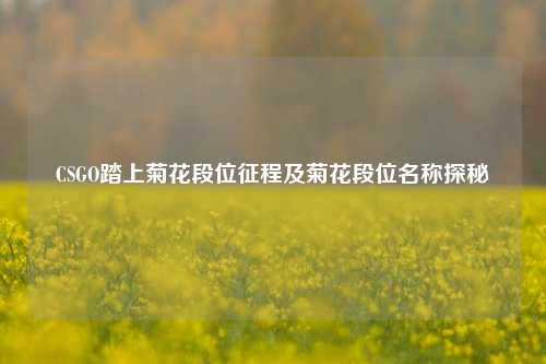 CSGO踏上菊花段位征程及菊花段位名称探秘
