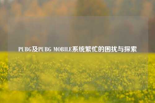 PUBG及PUBG MOBILE系统繁忙的困扰与探索
