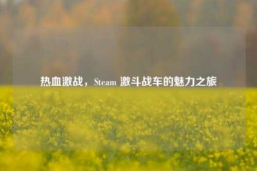 热血激战,Steam 激斗战车的魅力之旅