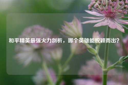 和平精英最强火力剖析,哪个英雄能脱颖而出?