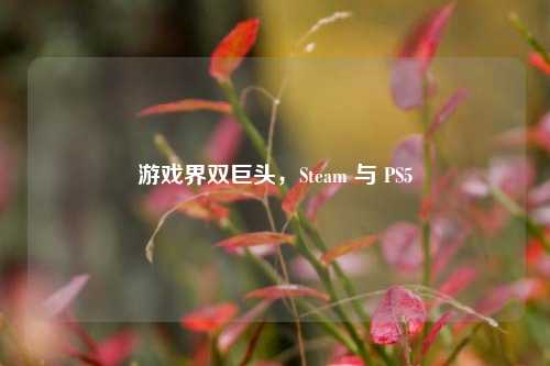 游戏界双巨头,Steam 与 PS5