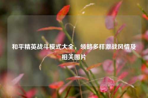 和平精英战斗模式大全,领略多样激战风情及相关图片