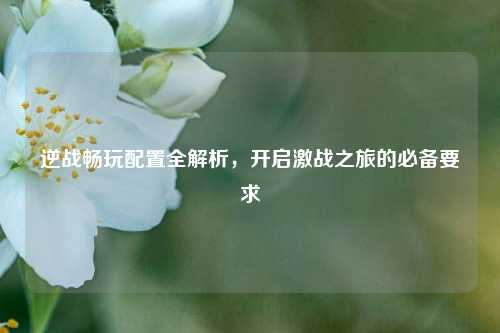 逆战畅玩配置全解析,开启激战之旅的必备要求