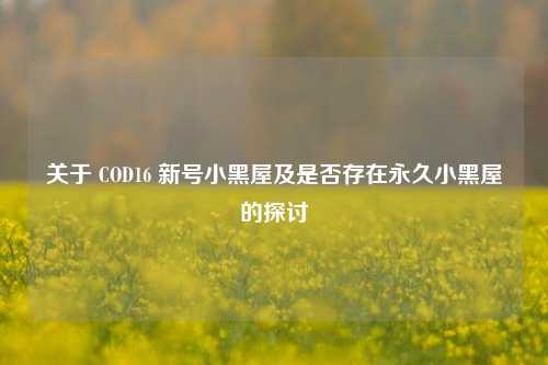 关于 COD16 新号小黑屋及是否存在永久小黑屋的探讨