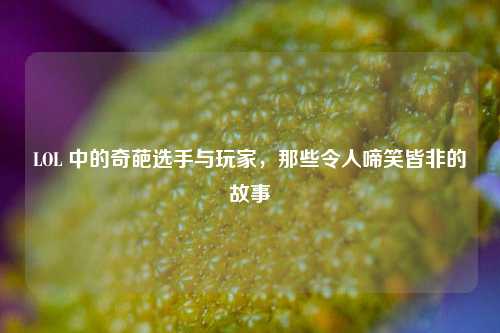 LOL 中的奇葩选手与玩家,那些令人啼笑皆非的故事