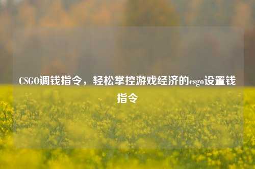 CSGO调钱指令,轻松掌控游戏经济的csgo设置钱指令