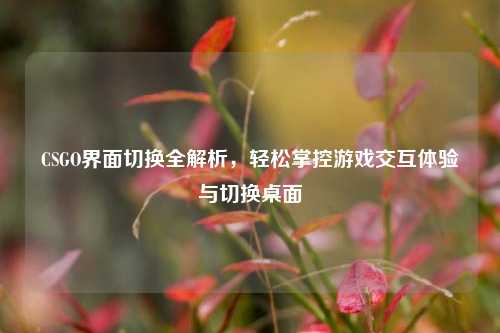 CSGO界面切换全解析,轻松掌控游戏交互体验与切换桌面