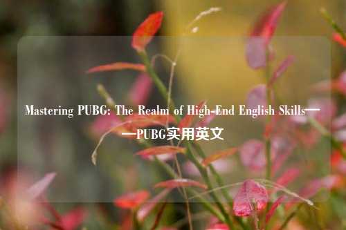 Mastering PUBG: The Realm of High-End English Skills——PUBG实用英文