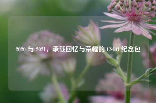2020 与 2021,承载回忆与荣耀的 CSGO 纪念包