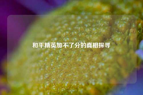 和平精英加不了分的真相探寻