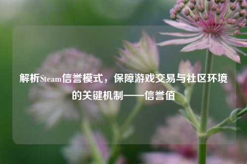 解析Steam信誉模式,保障游戏交易与社区环境的关键机制——信誉值