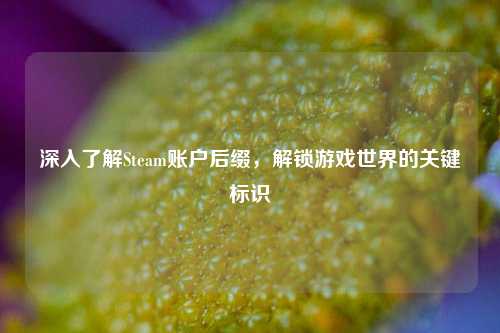 深入了解Steam账户后缀,解锁游戏世界的关键标识