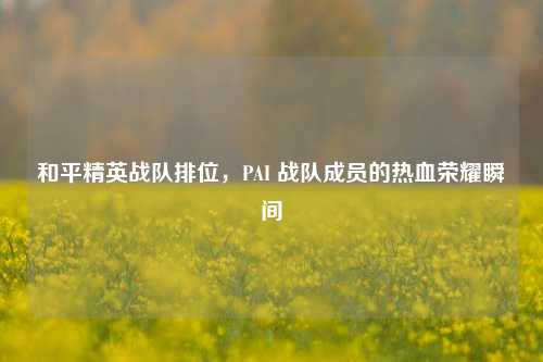 和平精英战队排位,PAI 战队成员的热血荣耀瞬间