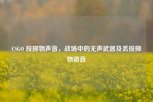 CSGO 投掷物声音,战场中的无声武器及丢投掷物语音