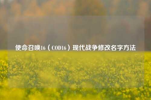 使命召唤16（COD16）现代战争修改名字方法