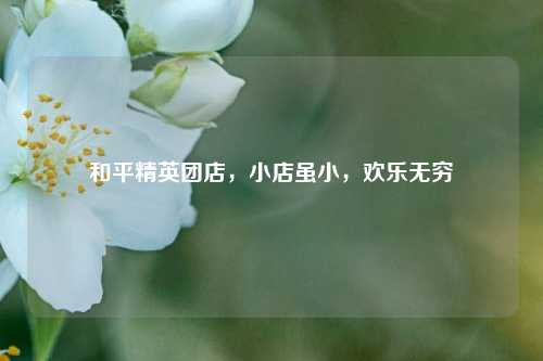 和平精英团店,小店虽小,欢乐无穷