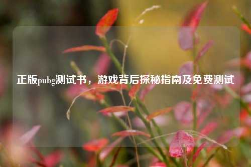 正版pubg测试书,游戏背后探秘指南及免费测试