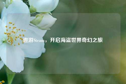 遨游Steam,开启海盗世界奇幻之旅