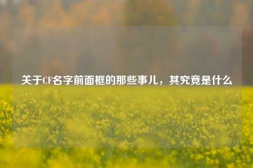 关于CF名字前面框的那些事儿,其究竟是什么