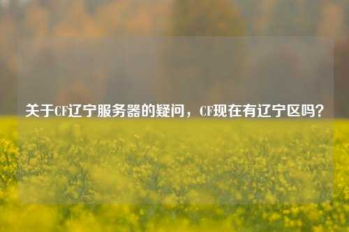 关于CF辽宁服务器的疑问,CF现在有辽宁区吗?