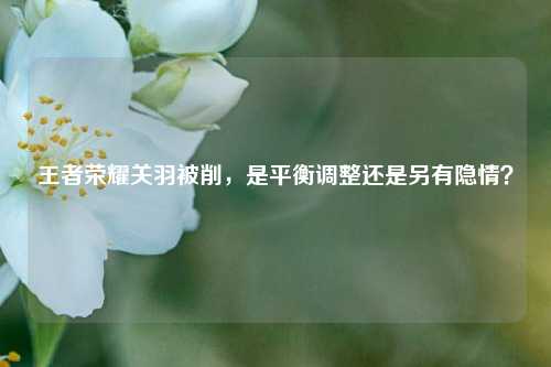 王者荣耀关羽被削,是平衡调整还是另有隐情?