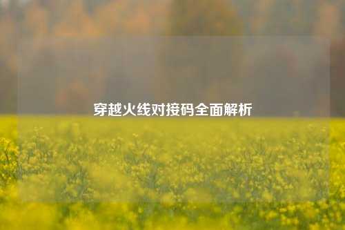 穿越火线对接码全面解析