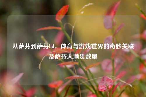 从萨芬到萨芬lol,体育与游戏世界的奇妙关联及萨芬大满贯数量