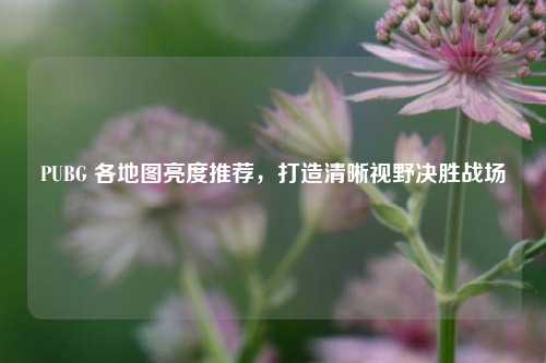 PUBG 各地图亮度推荐，打造清晰视野决胜战场