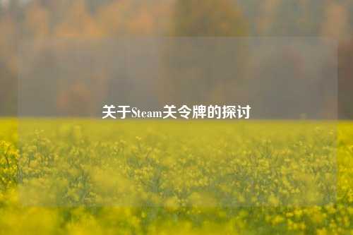 关于Steam关令牌的探讨