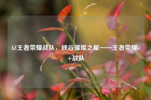AZ王者荣耀战队,峡谷璀璨之星——王者荣耀a+战队