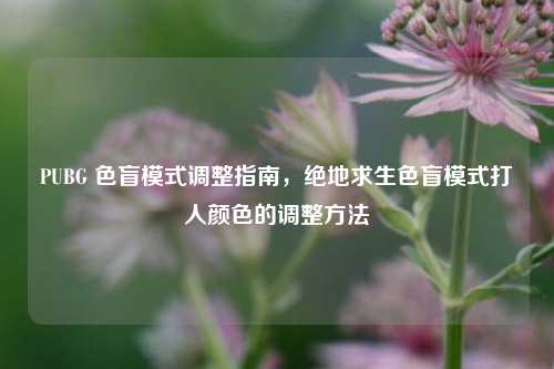 PUBG 色盲模式调整指南,绝地求生色盲模式打人颜色的调整方法