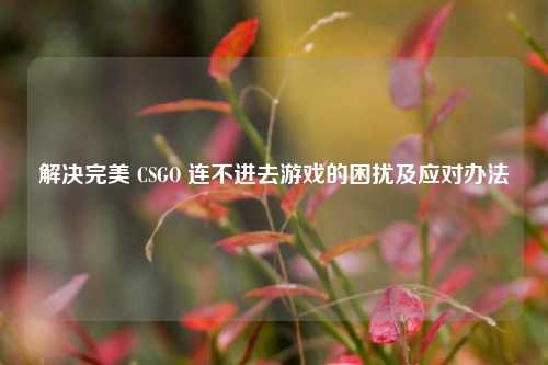 解决完美 CSGO 连不进去游戏的困扰及应对办法