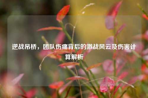逆战吊桥，团队伤痛背后的激战风云及伤害计算解析