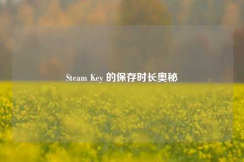 Steam Key 的保存时长奥秘