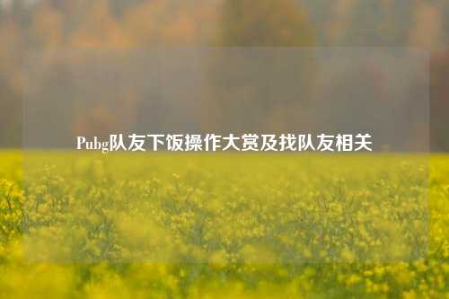 Pubg队友下饭操作大赏及找队友相关