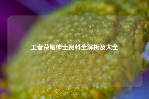 王者荣耀绅士资料全解析及大全