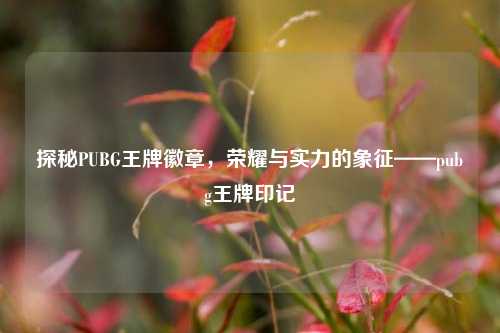 探秘PUBG王牌徽章,荣耀与实力的象征——pubg王牌印记