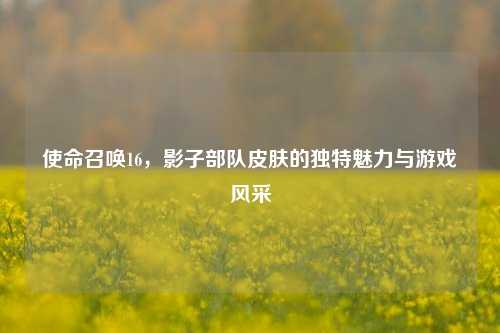 使命召唤16,影子部队皮肤的独特魅力与游戏风采