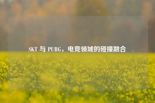 SKT 与 PUBG，电竞领域的碰撞融合