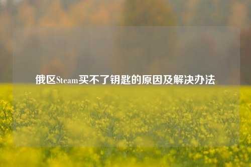 俄区Steam买不了钥匙的原因及解决办法