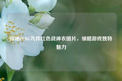 探秘PUBG九件红色战神衣图片,领略游戏独特魅力