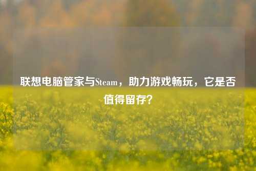 联想电脑管家与Steam,助力游戏畅玩,它是否值得留存?